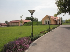 nyakas-pince-kivulrol-03